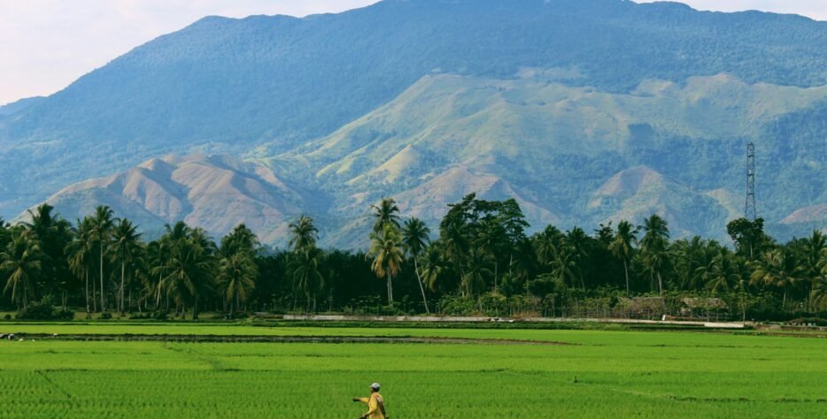 By fixing nitrogen and unlocking trapped nutrients like phosphorus, BioBloomX reduces the need for synthetic fertilizers by up to 30% — saving costs and protecting the environment.