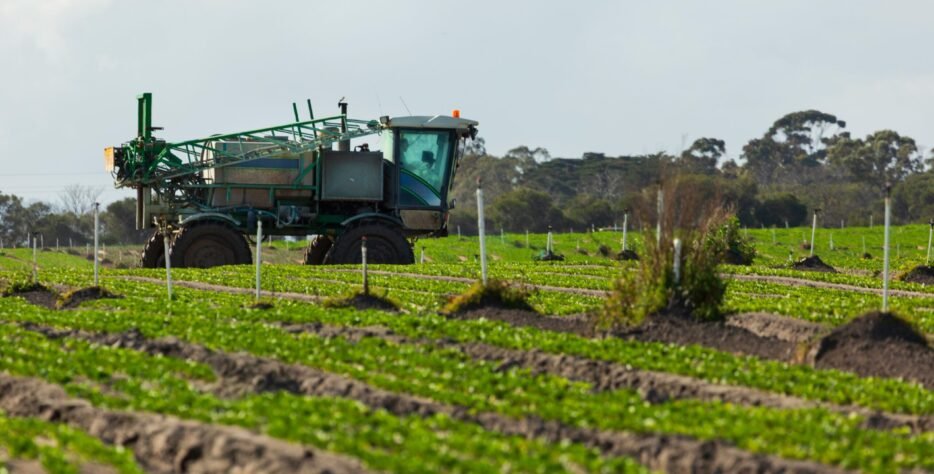 The beneficial microbes enhance soil structure and water retention, allowing crops to thrive with less irrigation. Farmers can save up to 15% water while maintaining healthy crops